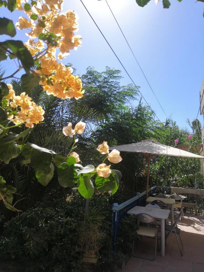 Hotel L'Hirondelle de Kelibia : Chez Amou Extérieur photo