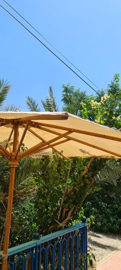 Hotel L'Hirondelle de Kelibia : Chez Amou Extérieur photo