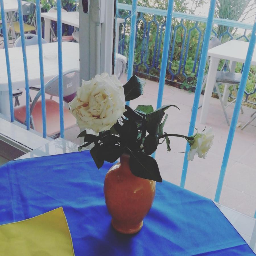 Hotel L'Hirondelle de Kelibia : Chez Amou Extérieur photo